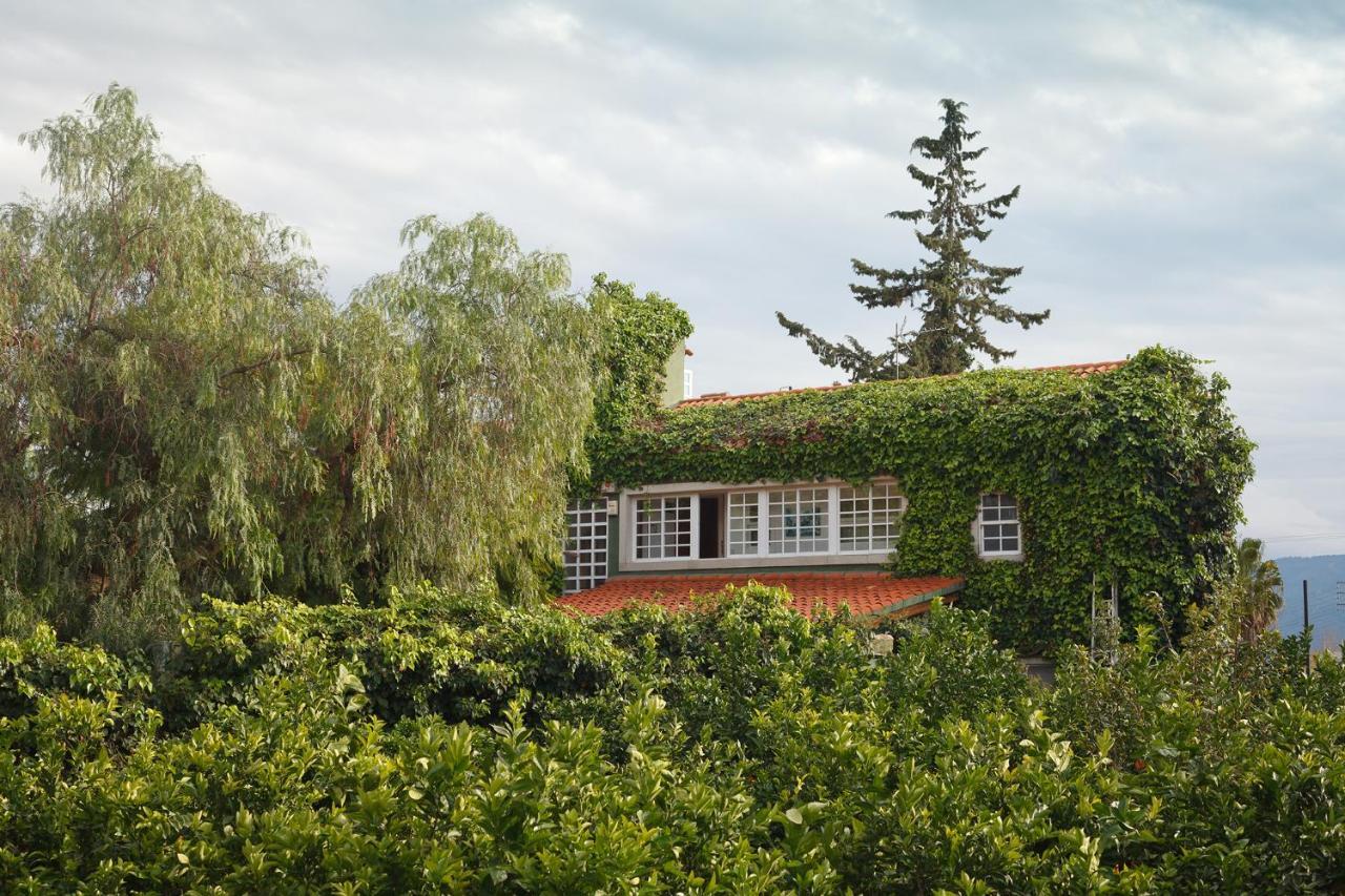 La Casa Verde Murcja Zewnętrze zdjęcie